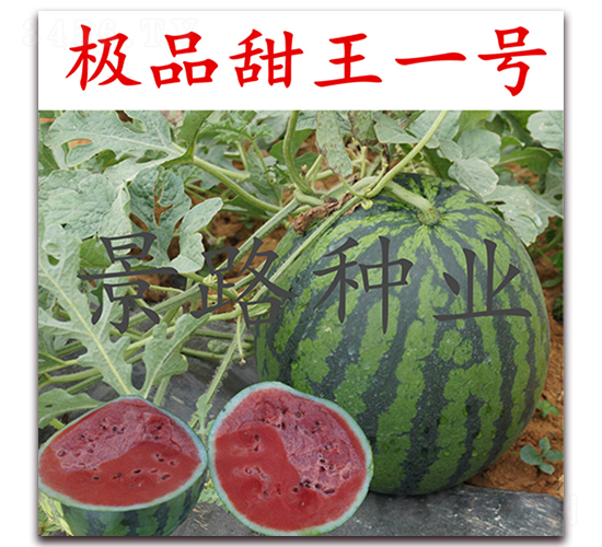 ��Ʒ����1��-����������-��·��ҵ
