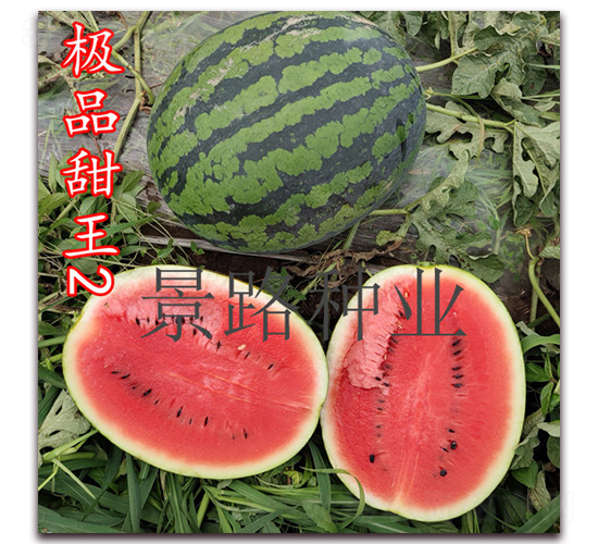��Ʒ����2��-����������-��·��ҵ