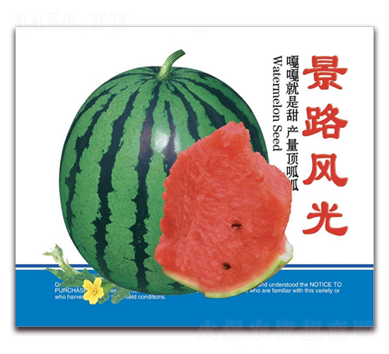 ��·���-����������-��·��ҵ
