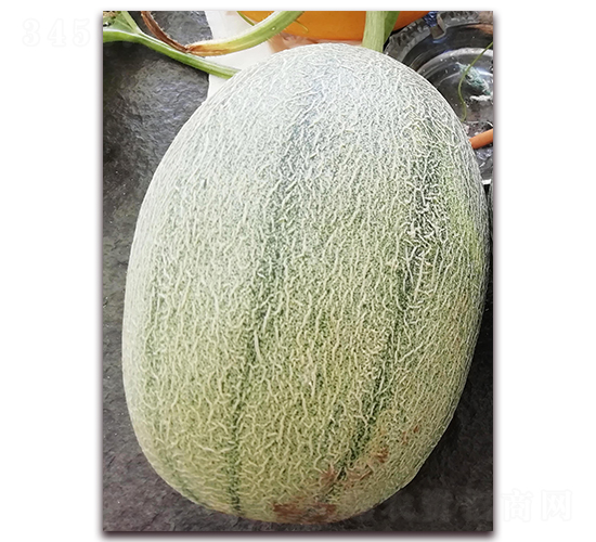 �º���25��-���ܹ�����-��������