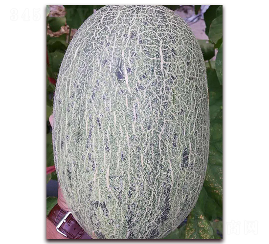 �໨��-���ܹ�����-��������