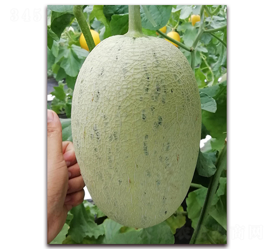 ��ɴ����-���ܹ�����-��������