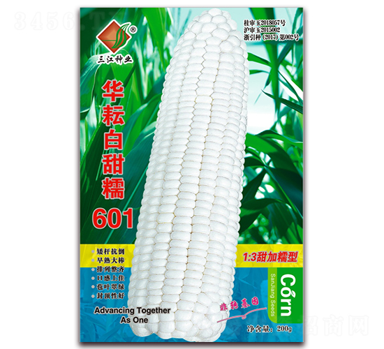 ���Ű���Ŵ601-Ŵ��������-������ҵ