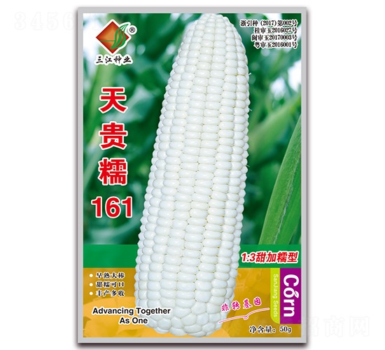 ���Ŵ161-Ŵ��������-������ҵ