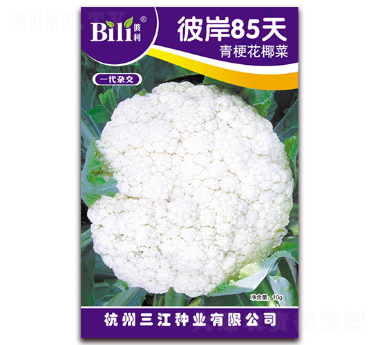 �˰�85��-��Ҭ������-������ҵ