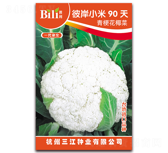 �˰�С��90��-��Ҭ������-������ҵ