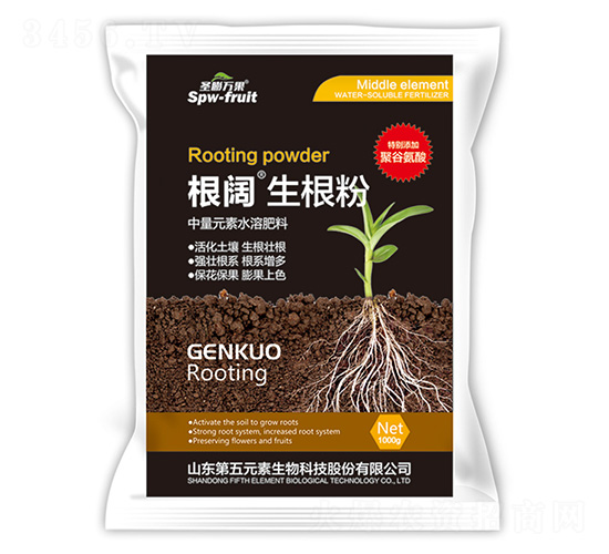 1000g����������-ʥ�����-����Ԫ��