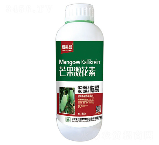 500gâ��������-������-����Ԫ��
