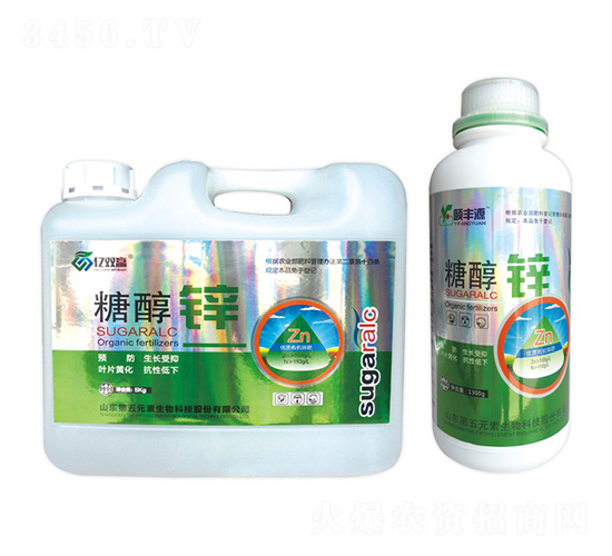 �Ǵ�п-��˫Ӯ-����Ԫ��