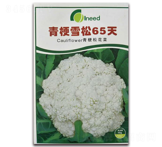 �๣ѩ��65��-�ɻ�������-�����