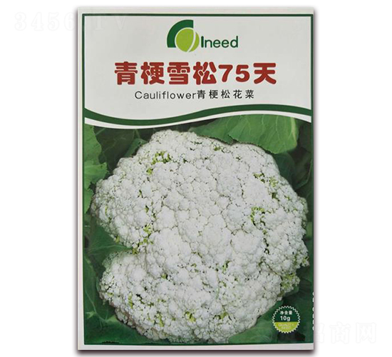 �๣ѩ��75��-�ɻ�������-�����
