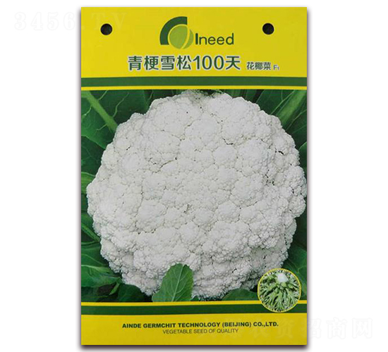 �๣ѩ��100�컨Ҭ��F1-��Ҭ������-�����