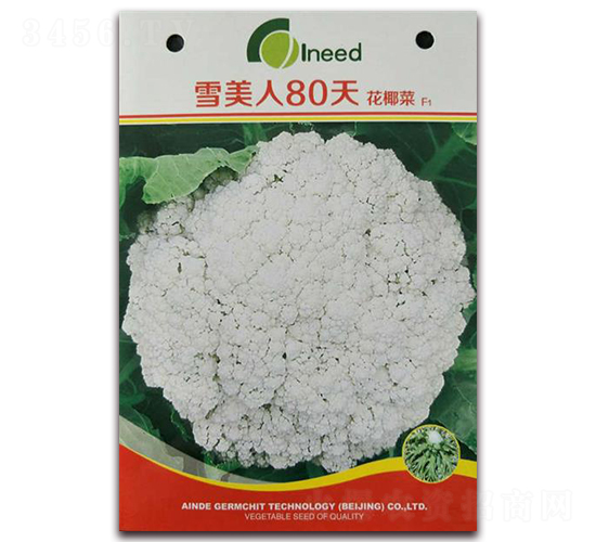 ѩ����80�컨Ҭ��F1-��Ҭ������-�����