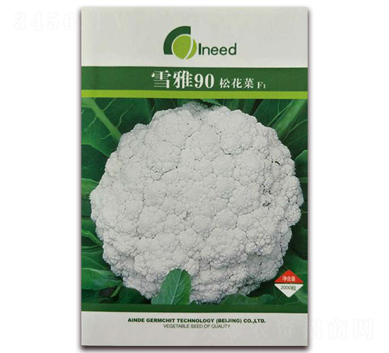 ѩ��90���ɻ���F1-�ɻ�������-�����