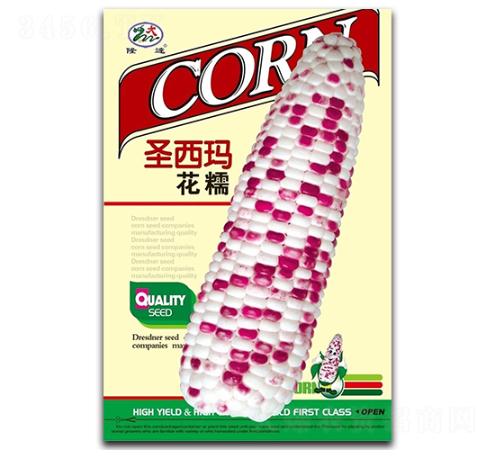 ʥ���껨Ŵ-Ŵ��������-¡��