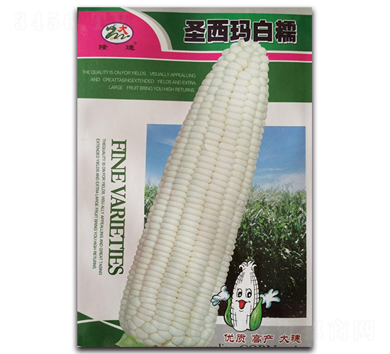 ʥ�����Ŵ-Ŵ��������-¡��