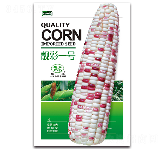 ����һ��-Ŵ��������-¡��