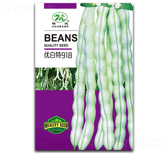 �Ű���918-�ܶ�����-¡��