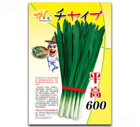 ƽ��600-�²�����-ƽ����ҵ