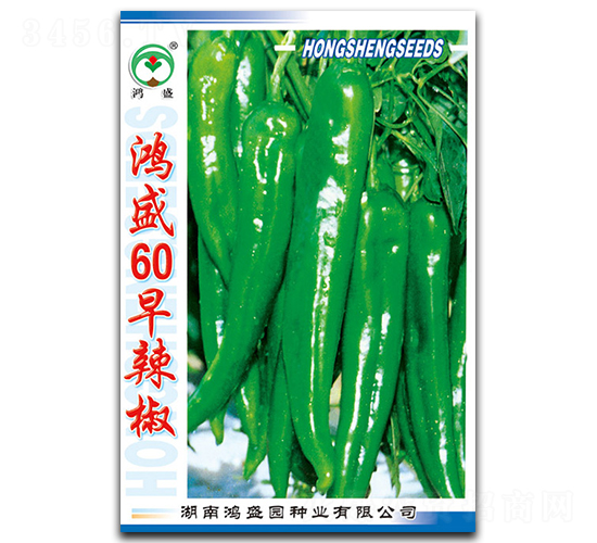 ��ʢ60������-��������-��ʢ԰