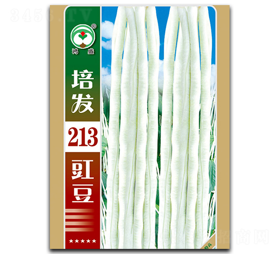 �෢213-��������-��ʢ԰