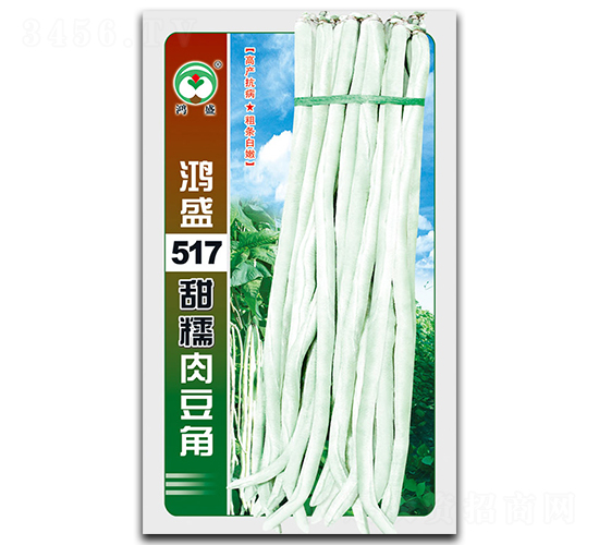 ��ʢ517��Ŵ�ⶹ��-��������-��ʢ԰