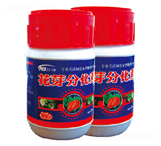 50ml��ѿ�ֻ���-������