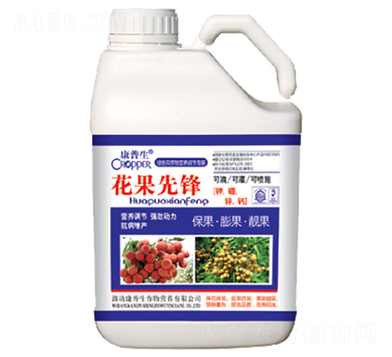 �����ȷ棨����-������