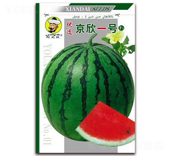 ����һ��-��������-�ִ���ҵ