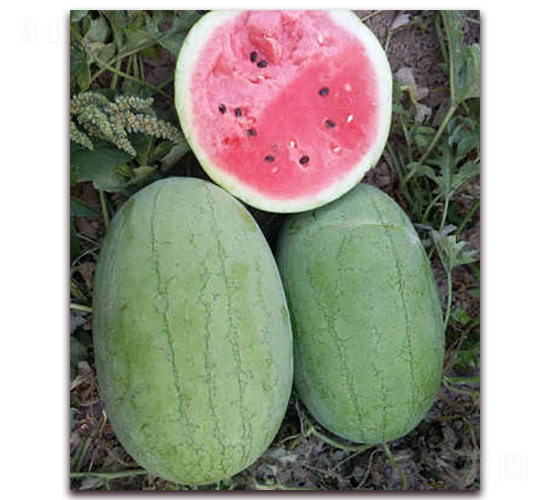 �챦��-��������-�ִ���ҵ