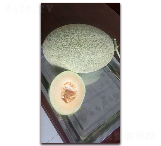 �۱�����-�������-�ִ���ҵ