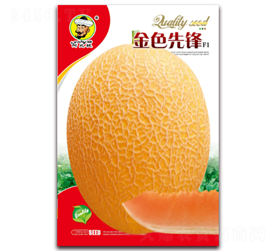 ��ɫ�ȷ�F1-�������-�ִ���ҵ