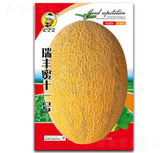 �����ʮһ��F1-�������-�ִ���ҵ