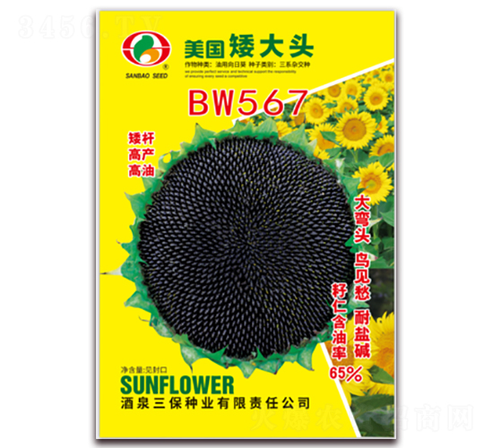 ��������ͷBW567-�Ϳ�����-������ҵ