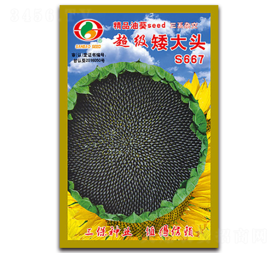 ��������ͷS667-�Ϳ�����-������ҵ
