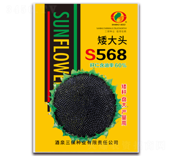 ����ͷS568-�Ϳ�����-������ҵ