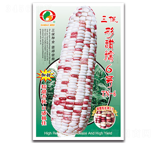 ��������Ŵ6��-Ŵ��������-������ҵ