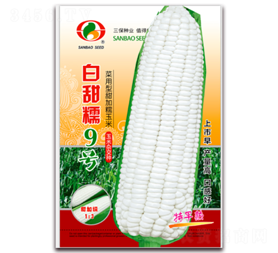 ����Ŵ9��-Ŵ��������-������ҵ