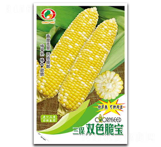 ����˫ɫ�౦-����������-������ҵ