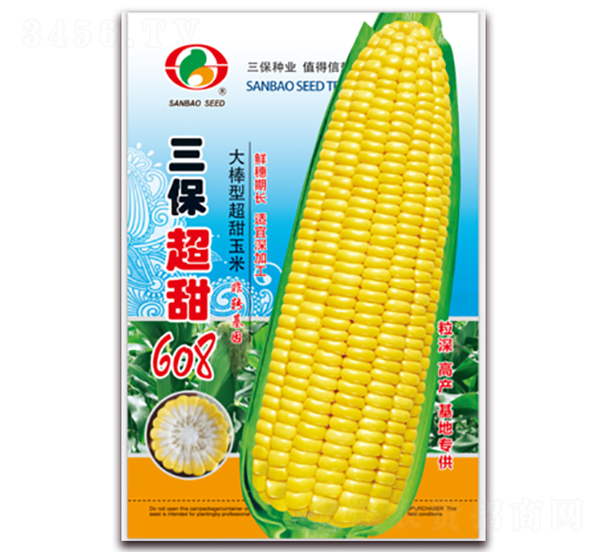 ��������608-����������-������ҵ