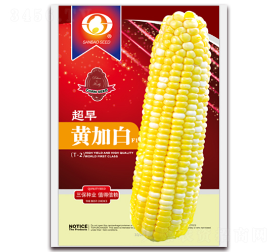 ����ƼӰ�-����������-������ҵ