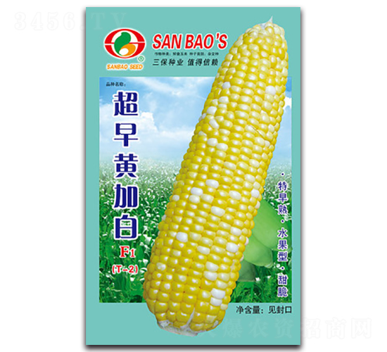 ����ƼӰ�F1-����������-������ҵ