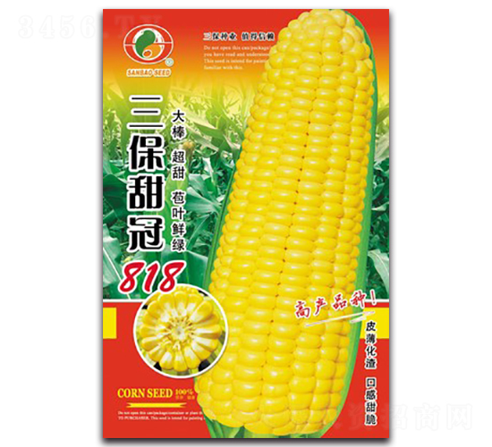 �������818-����������-������ҵ