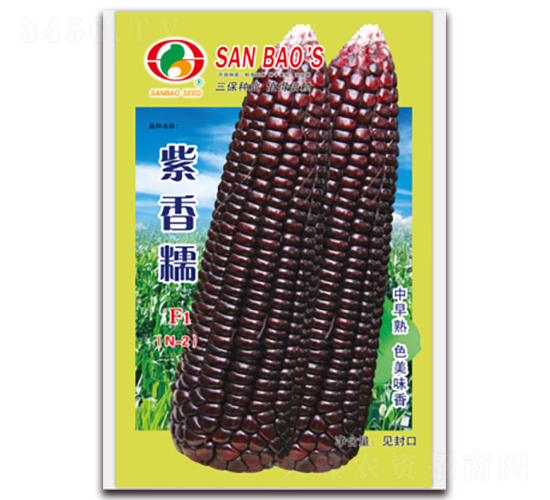 ����ŴF1-Ŵ��������-������ҵ