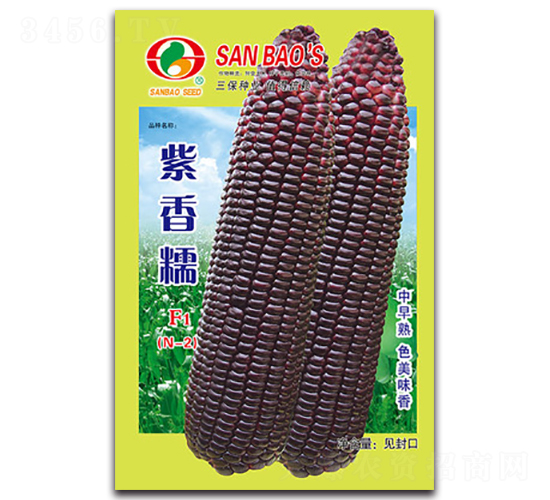 ����ŴF1N-2-Ŵ��������-������ҵ