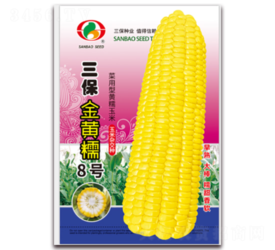�������Ŵ8��-Ŵ��������-������ҵ
