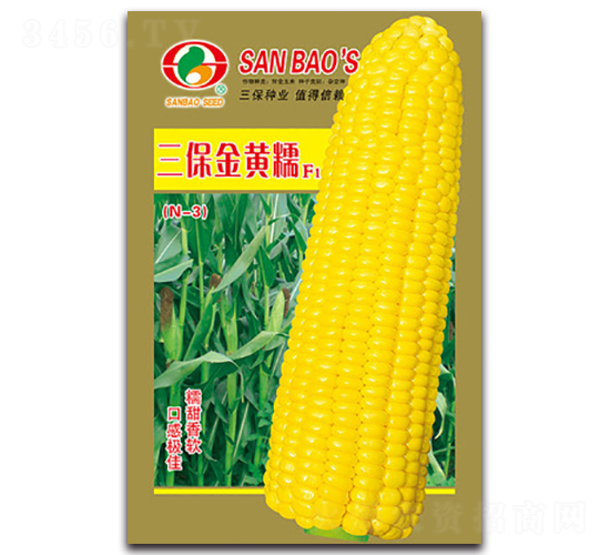 �������ŴF1-Ŵ��������-������ҵ