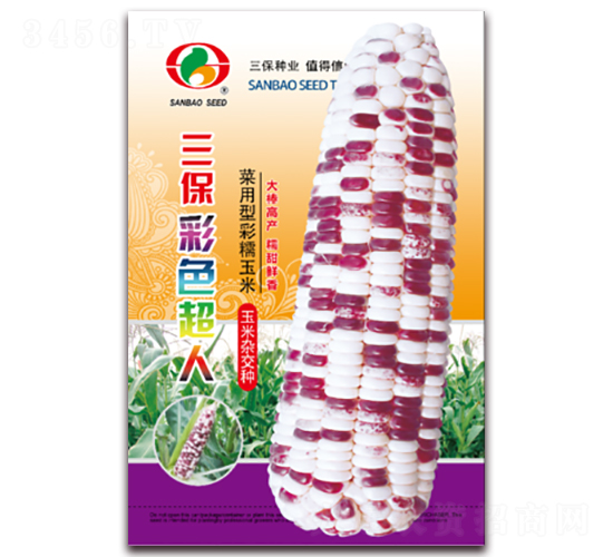 ������ɫ����-Ŵ��������-������ҵ