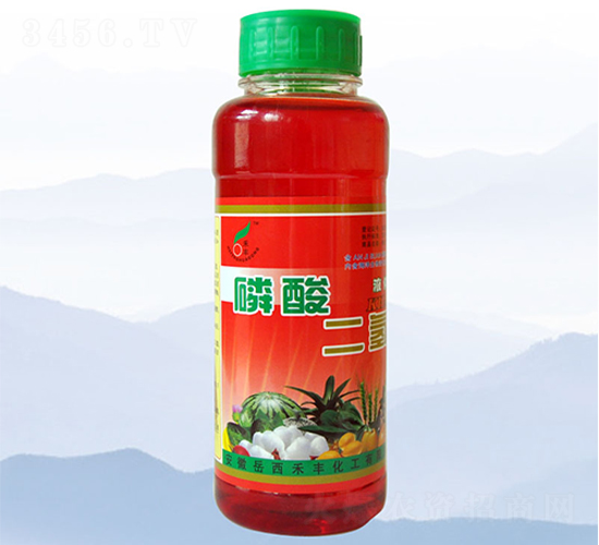 500ml��������-�̷�