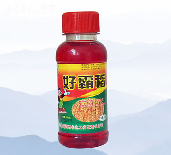 100ml�ðԵ�-�̷�
